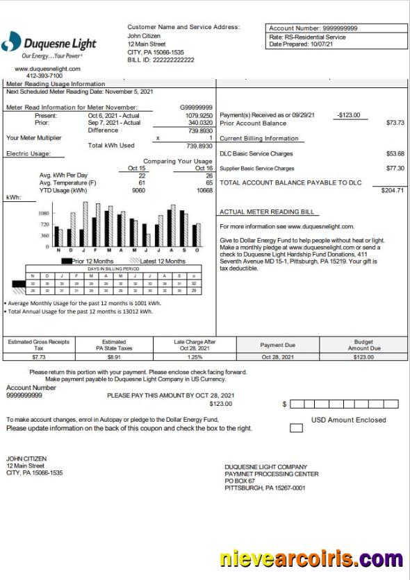 USA Pennsylvania Duquesne Light Company utility bill